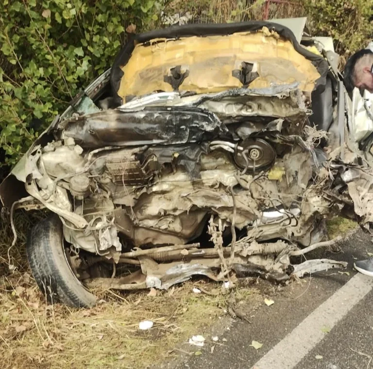 Trágico accidente en Ruta 5 Sur