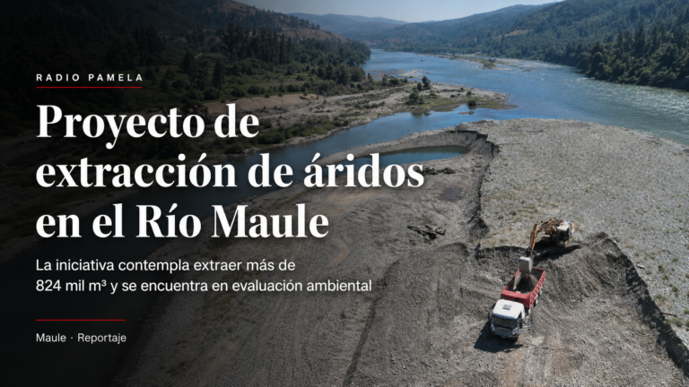 Proyecto busca extraer más de 824 mil metros cúbicos de áridos del río Maule.